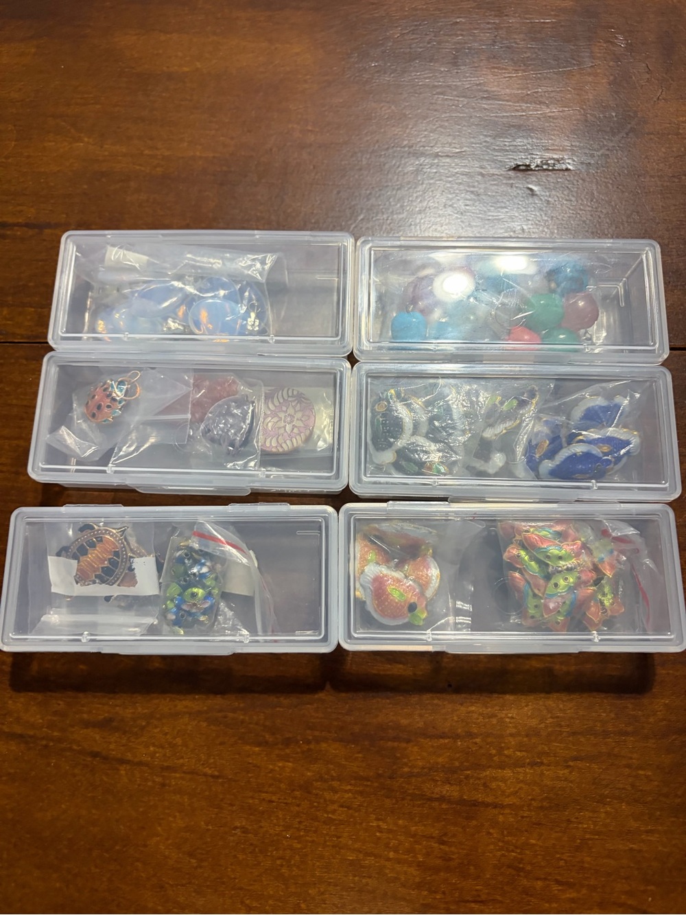 Assorted Colorful Enameled metal beads and stone pendants- Clear Storage Boxes